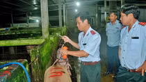 Công nhân bơm nước vào heo tháo chạy khi thấy thanh tra