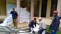 Mười tỉnh xin hỗ trợ gạo cứu đói dịp Tết Nguyên đán Đinh Dậu