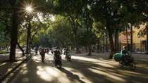 Nắng ấm quay lại Bắc Bộ, có nơi trên 36 độ C