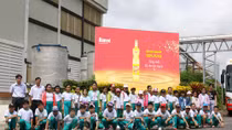 Lý do dầu ăn 100% từ cá “được lòng” bà nội trợ