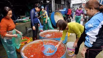 Cá chép cúng ông Công, ông Táo tăng giá do trời rét