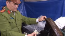 Hãi hùng giá đỗ sản xuất 'siêu tốc' bằng hóa chất