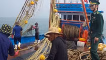 Truy đuổi, bắt giữ hai tàu giã cào đánh bắt hải sản trái phép 