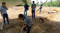 Phát hiện huyệt mộ vợ vua Nguyễn tại dự án bãi đỗ xe