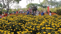 Chợ hoa ở Cố đô Huế nhộn nhịp ngày giáp Tết Canh Tý