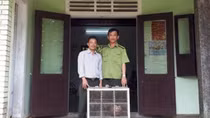 Người dân giao nộp 2 cá thể khỉ mặt đỏ quý hiếm
