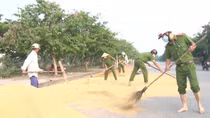 Công an TP Huế giúp nông dân phơi lúa an toàn