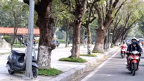Lái xe máy tự đâm vào lề đường, đôi nam nữ tử vong