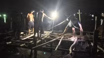 Người dân lo lắng khi cá nuôi lồng ven phá Tam Giang chết hàng loạt