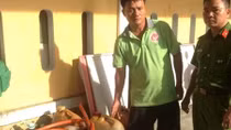 Bắt quả tang nhóm đối tượng trộm hàng trăm lít dầu từ xe công trình