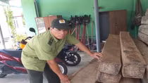 Liên tiếp phát hiện, bắt giữ ô tô chở gỗ lậu