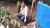 Thu gom xử lý nhiều bom và đạn cối trong vườn nhà dân