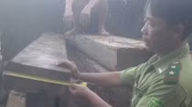 Bắt giữ xe tải chở gỗ lậu chạy trốn vào rừng cao su