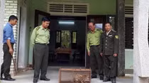 Giải cứu cá thể mèo rừng quý hiếm sau khi bị mắc bẫy