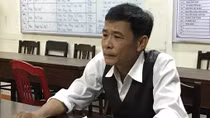 Đã tìm ra thủ phạm 'đốn hạ' 252 cây thông ở khu rừng thông đặc dụng tại Huế