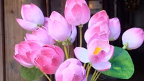 Sắc Xuân ở làng hoa giấy hơn 300 năm tuổi