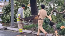 Lực lượng Công an giúp dân khắc phục hậu quả bão số 13