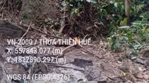 Chi cục Kiểm lâm Thừa Thiên Huế nói gì về vụ việc “TBT tạp chí Sông Hương nướng thịt động vật”