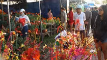 Chợ hoa lớn nhất xứ Huế nhộn nhịp ngày giáp Tết