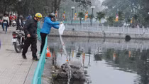 Bạn trẻ "dọn rác" sau lễ tiễn Táo quân
