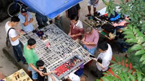 Độc đáo phiên chợ đồ xưa giữa trung tâm Hà Nội