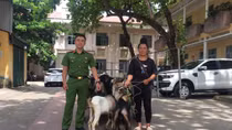 Lừa mua 6 con dê bán lấy tiền trả lãi vay