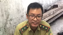 Tê tê đi lạc vào nhà dân