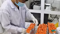Yêu cầu 4 tỉnh khẩn trương điều tra, truy vết, xét nghiệm trên diện rộng