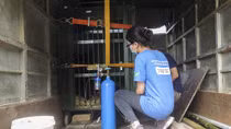 Chuyển giao 1 cá thể gấu nuôi nhốt 15 năm 