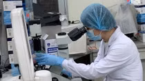 Việt Nam ghi nhận chủng virus SARS-CoV-2 biến thể Ấn Độ trên 4 bệnh nhân chuyên gia
