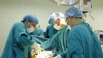 Bé gái 11 tuổi mắc hội chứng nghiện ăn tóc