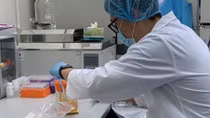Biến thể virus Ấn Độ và Anh có ở Hải Dương, Hà Nội