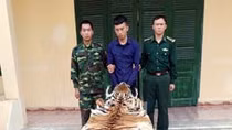 Vận chuyển da và xương hổ qua biên giới 