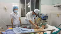 Cảnh báo nhiều ca ngộ độc thuốc diệt cỏ Paraquat 