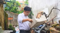 Trong 1 tuần, Hà Nội ghi nhận 301 trường hợp sốt xuất huyết