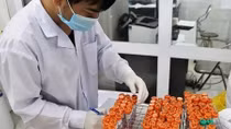 Thêm 1 ca mắc COVID-19 nhập cảnh tại Tây Ninh