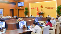 Cồng kềnh, phức tạp với số lượng lớn văn bản dưới luật