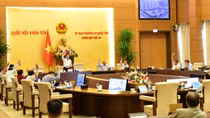 Bổ sung thêm nhóm hàng vật tư, thiết bị y tế vào Danh mục hàng dự trữ quốc gia