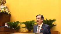 Phấn đấu đến 2025 có 60% số thôn, bản, ấp đặc biệt khó khăn đạt chuẩn nông thôn mới