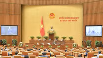 Doanh nghiệp môi giới phải có trách nhiệm nếu lao động bỏ trốn