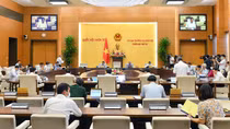Vẫn còn người có chức quyền “bảo kê”, bao che cho các hành vi vi phạm pháp luật