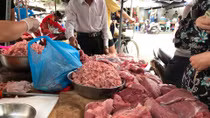 Quá nhiều khâu trung gian, thịt lợn từ chuồng đến người tiêu dùng tăng 43%