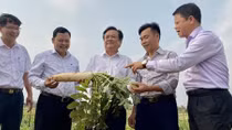“Thắp lên một ngọn đuốc, thay vì cứ oán trách bóng đêm”