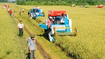 Bãi bỏ 142 điều kiện kinh doanh trong lĩnh vực nông nghiệp