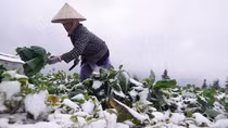Năm 2019 sẽ là năm nóng nhất trong lịch sử toàn cầu