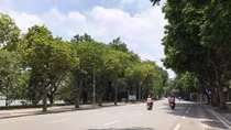 Xây dựng kịch bản trong trường hợp số bệnh nhân COVID-19 tăng cao
