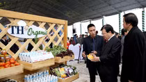 Khởi công dự án nông nghiệp công nghệ cao quy mô 3.000 tỷ đồng