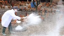 Phát động "Tháng vệ sinh, tiêu độc khử trùng môi trường đợt 1 năm 2017" trên toàn quốc