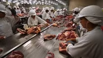 Tạm ngừng nhập khẩu thịt từ Brazil