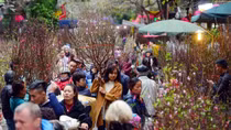 Hà Nội tổ chức 63 điểm chợ hoa Xuân 2018